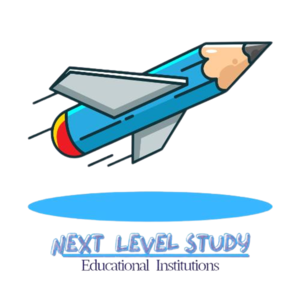 Next Level Study Logo